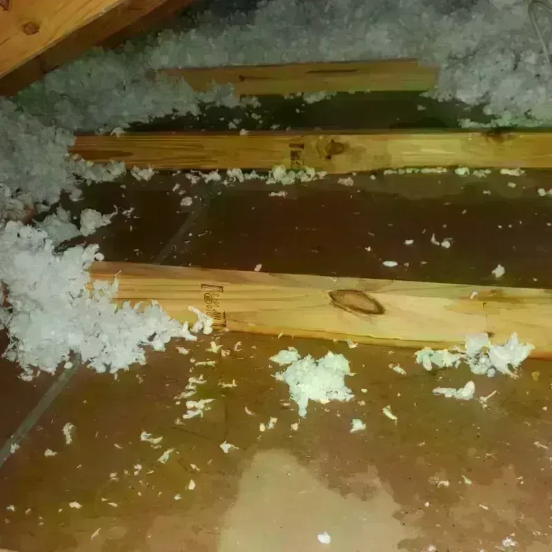 Attic Water Damage in Elkhart, IN